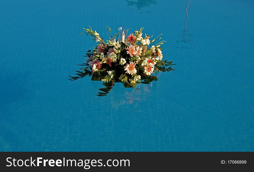 Photo of Flowers on the water