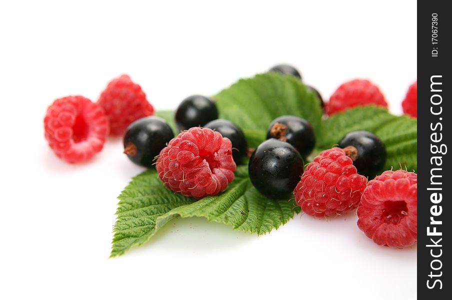 Ripe berries on a white background