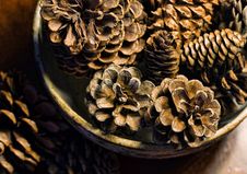 Bowl Of Pine Cones Stock Images