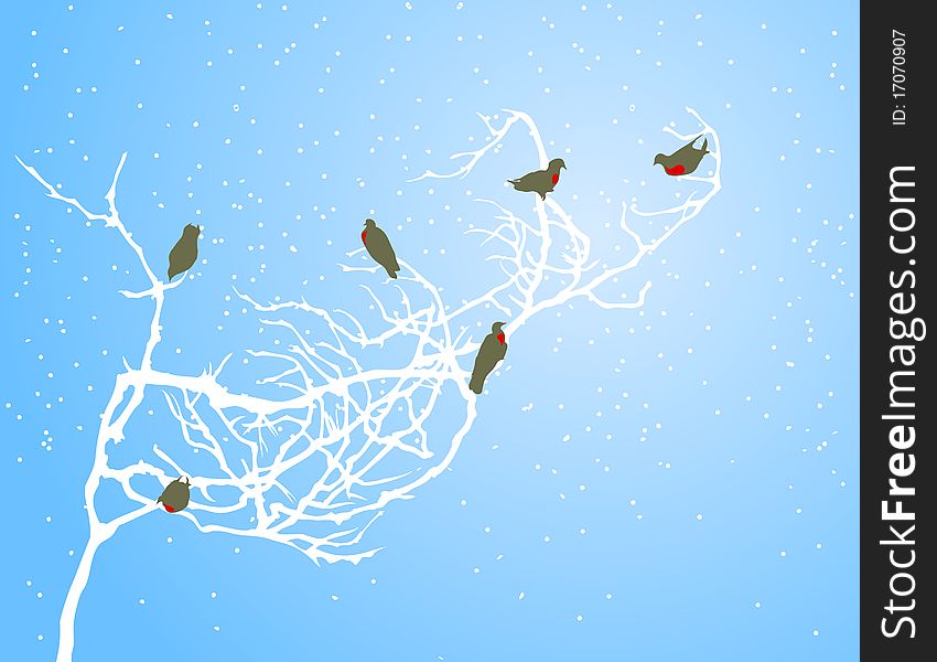 Bullfinches on a white branch in the winter. A illustration. Bullfinches on a white branch in the winter. A illustration