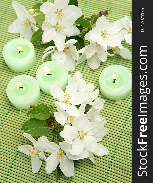 Flowers of an apple-tree and green candles. Flowers of an apple-tree and green candles
