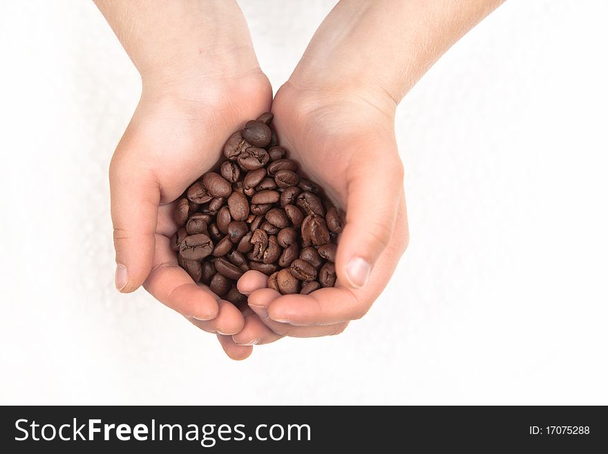 Fragrant fried coffee beans in the boy's hands over white. Fragrant fried coffee beans in the boy's hands over white