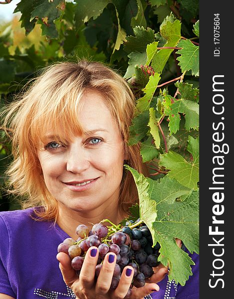 Blue-eyed woman in a blue shirt on the background of vine leaves. tousled blond hair. bunch of grapes in his hand.