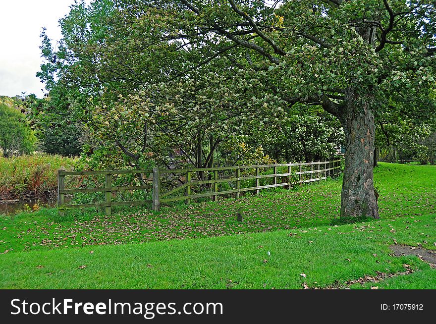 A typical colourful British country scene. A typical colourful British country scene