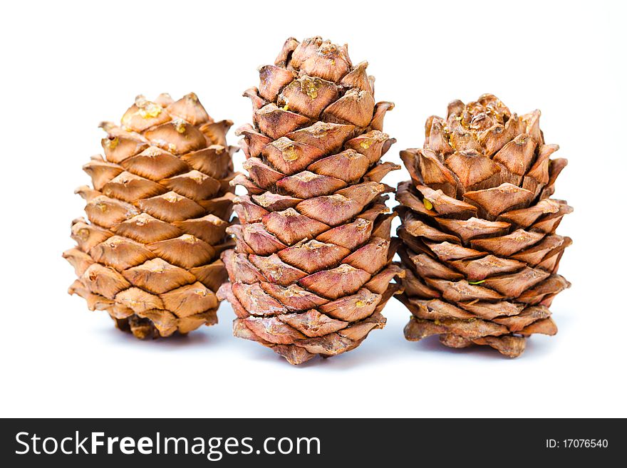 Small group of cones combined on a white background