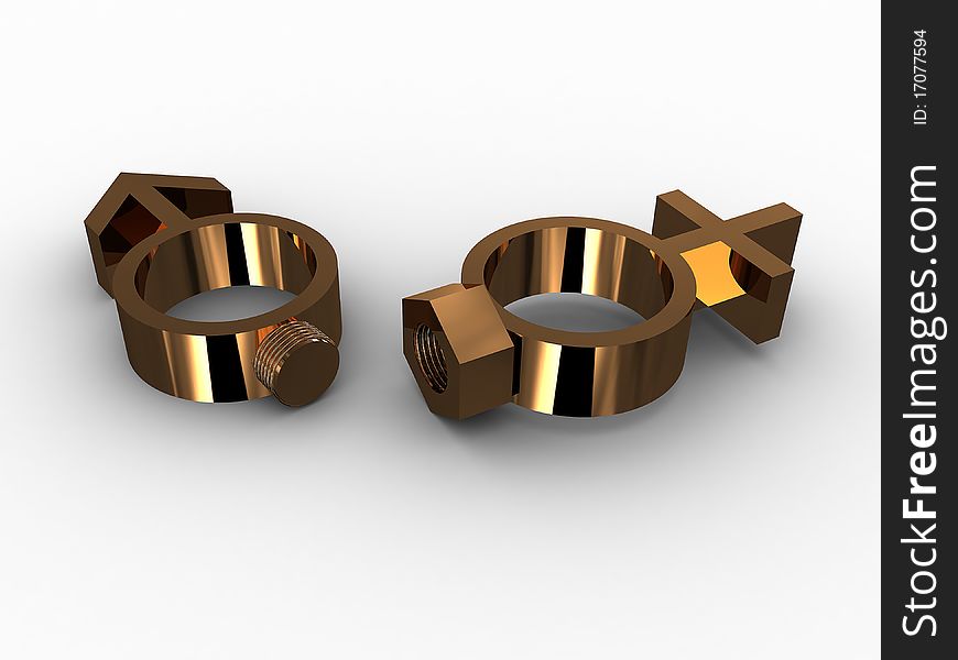 Rings With A Bolt And Nut And Gender. 3D