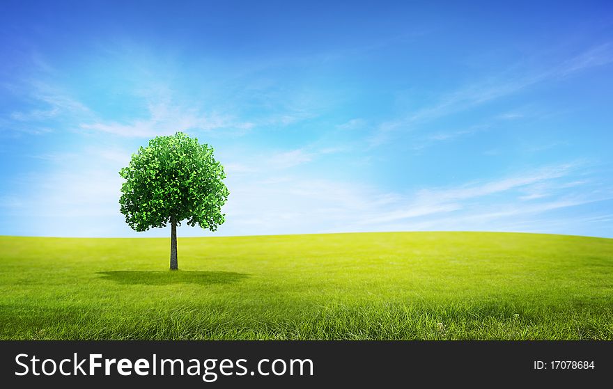 Landscape with a green tree