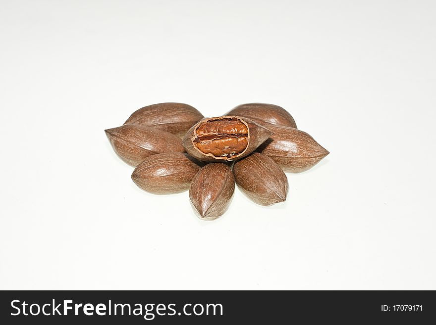 Couple of pecan nuts on white background