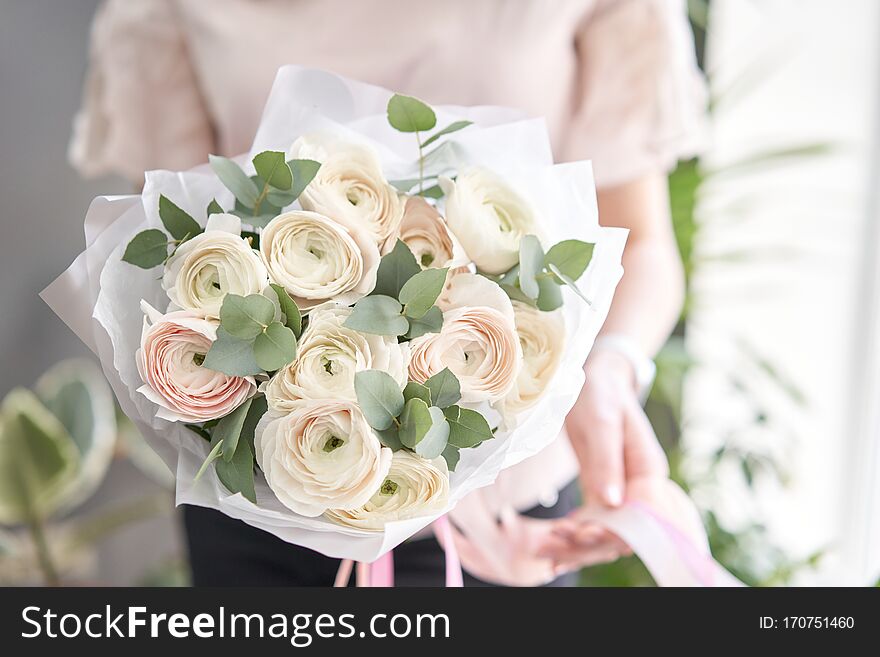 Persian buttercup in womans hands. Bunch pale pink ranunculus flowers with green eucalyptus. The work of the florist at