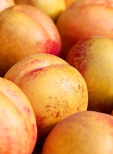 Peaches Royalty Free Stock Image Peaches Royalty Free Stock Image