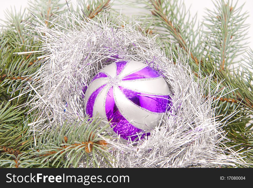 Fran Christmas tree with purple ball