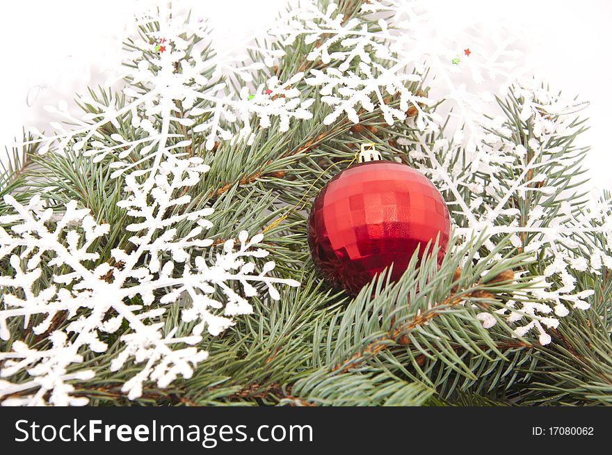 Fran Christmas tree with red ball