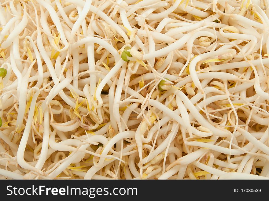 Germinated mung beans used in asian cuisine on white background. Germinated mung beans used in asian cuisine on white background