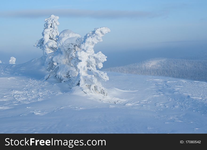 Cold northern winter in the mountains, a landscape with natural snow sculptures. Cold northern winter in the mountains, a landscape with natural snow sculptures