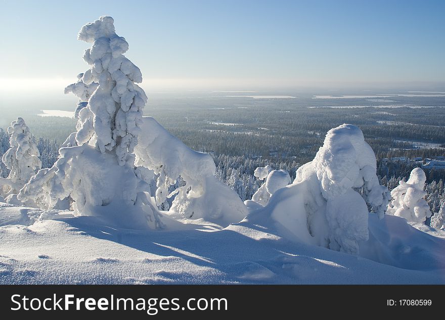 Sunny frosty noon in the mountains