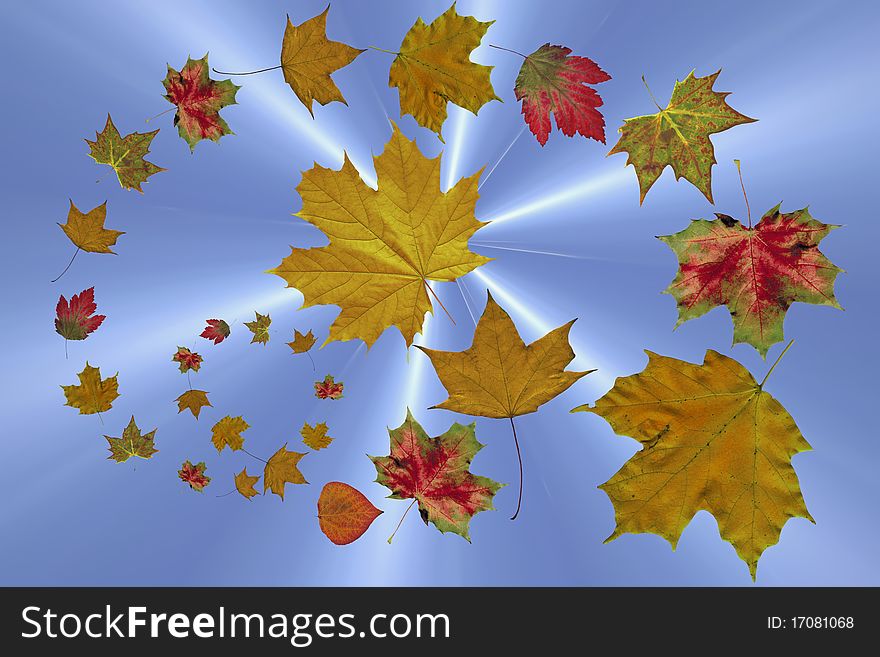 Abstract composition of the falling of autumn leaves on a blue background with sun rays. Abstract composition of the falling of autumn leaves on a blue background with sun rays