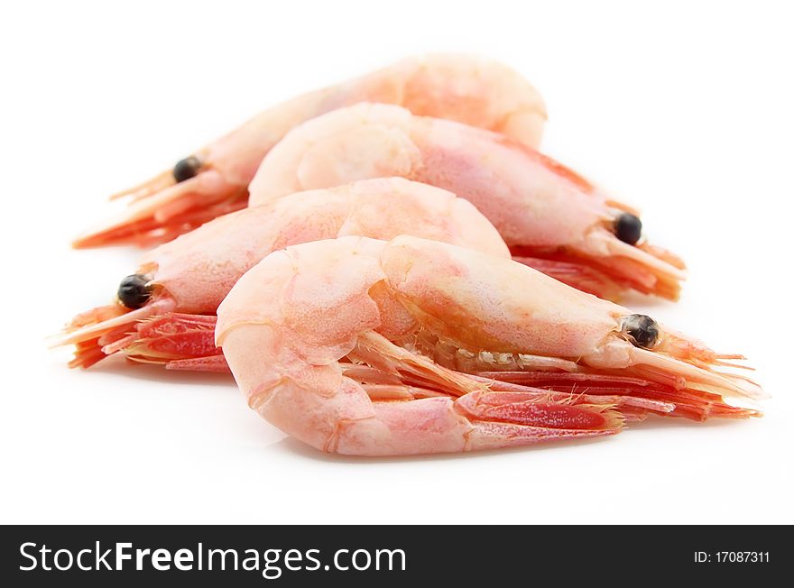 Shrimps on a white background