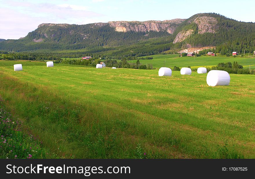 The Countryside of Norway on a Summer Day. The Countryside of Norway on a Summer Day