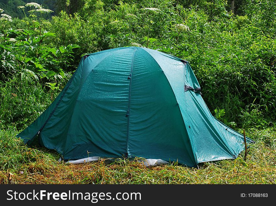 Wet green tourist tent Ð¾n a grass. Wet green tourist tent Ð¾n a grass