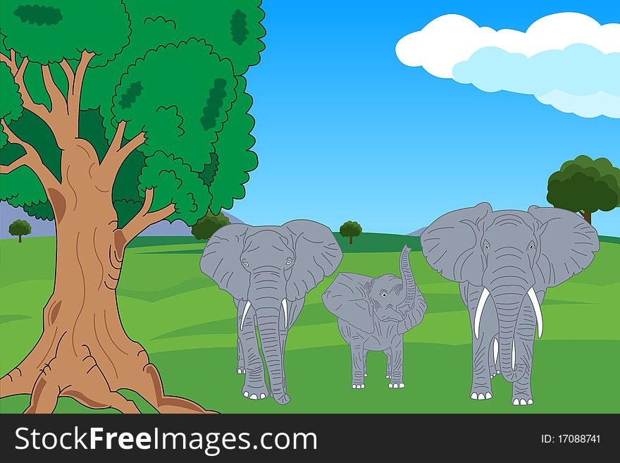 An Elephant family in the forest.