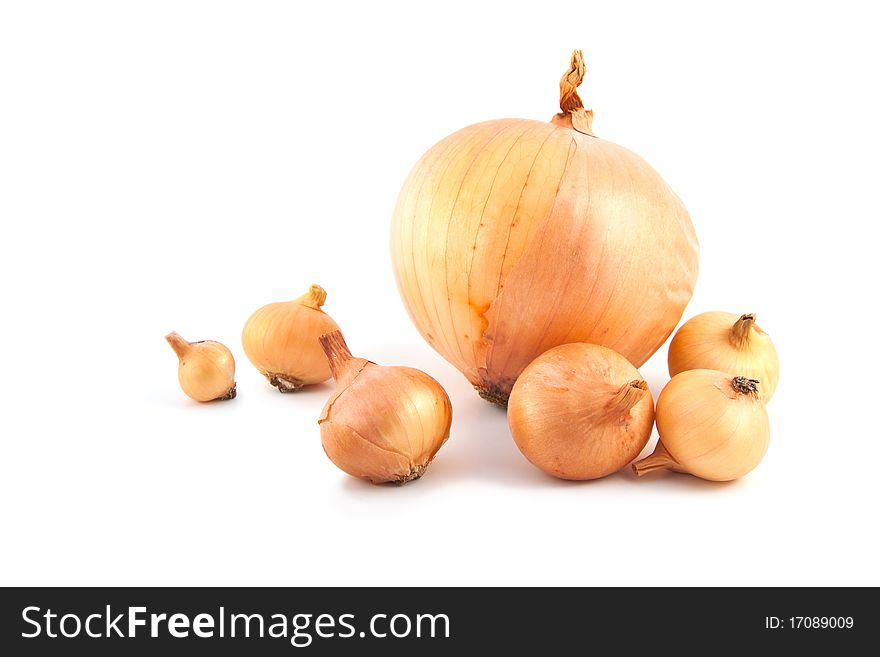 Big And Small Ripe Onion On A White Background