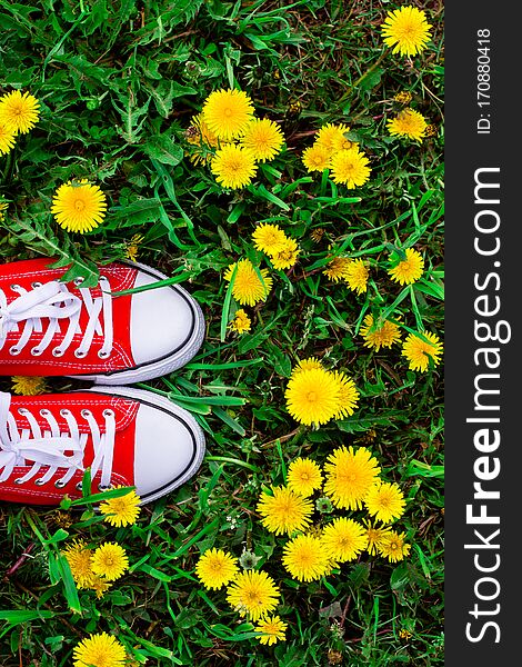 Woman`s Feet In Red Sneakers Shoes Standing On The Grass With Growing Dandelions