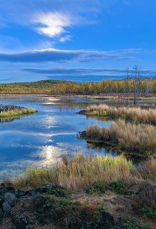 Lake And Forest Stock Images Lake And Forest Stock Images