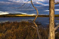 Sunset Under The Lake And Forest Stock Image Sunset Under The Lake And Forest Stock Image