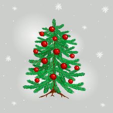 Christmas Tree Stock Photos Christmas Tree Stock Photos