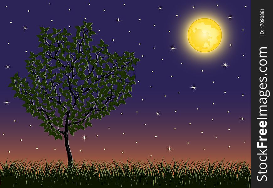 Night Background With A Tree