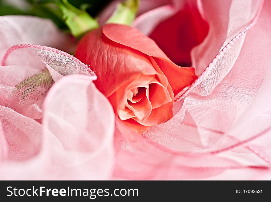 Sales of pink silk, pink rose. Macro photography.