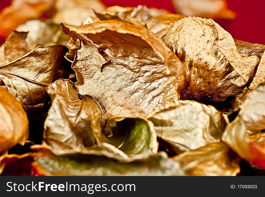 Gold-colored rose petals, can be used as Christmas decor. Gold-colored rose petals, can be used as Christmas decor.