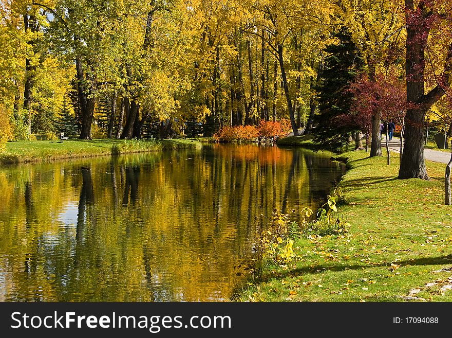 Reflection in pond, autumn, yellow and red leaves. Reflection in pond, autumn, yellow and red leaves