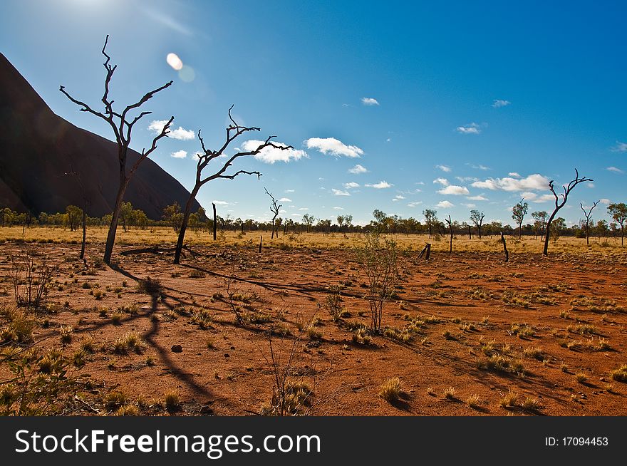 Australian landscape in the red center, australian desert