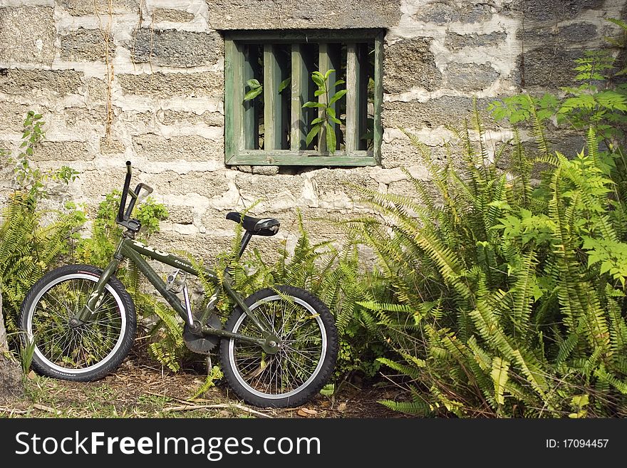 Black bicycle in front of an old stone wall with overgrown foliage. Black bicycle in front of an old stone wall with overgrown foliage