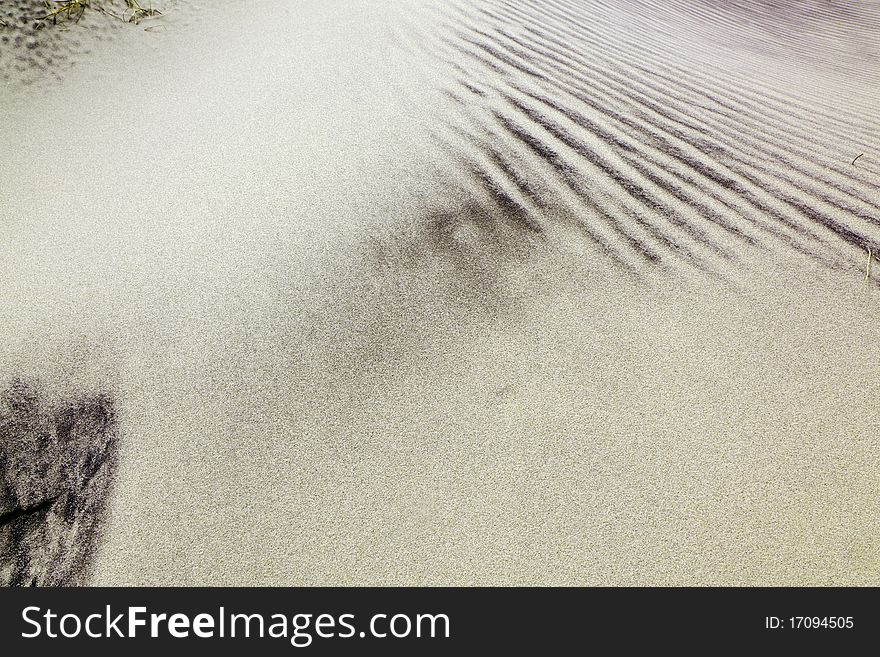 Wind forms structures in the dunes at the beach