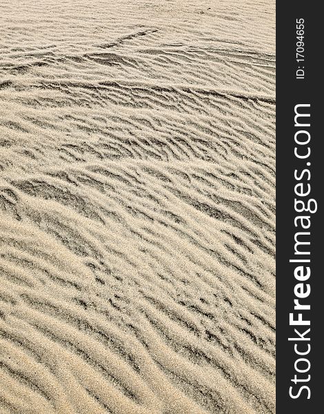 Wind Forms Structures In The Dunes At The Beach