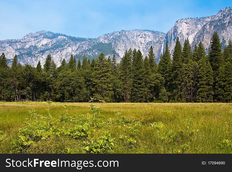 Yosemite Falls over valley forest and meadow in Yosemite National Park, California, USA