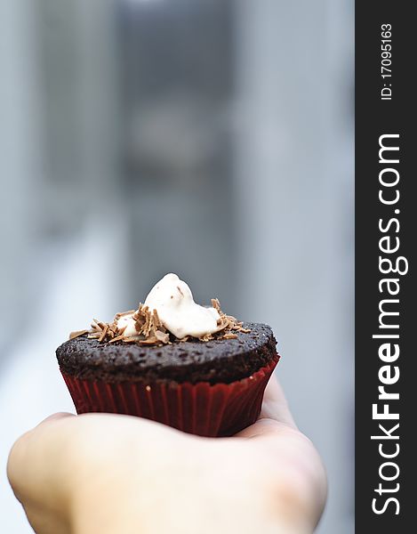 Chocolate cupcake hold in hand