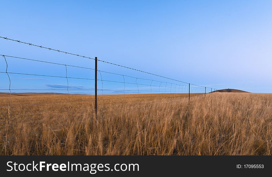 Mongolia steppe