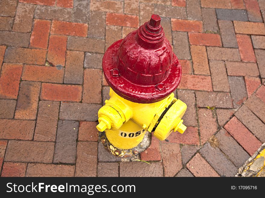 Old pedestrian brick paveway in Svannah with hydrant