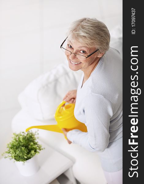 Smiling older woman watering houseplant. Smiling older woman watering houseplant