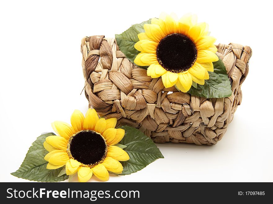 Sunflower blossom on basket onto white background