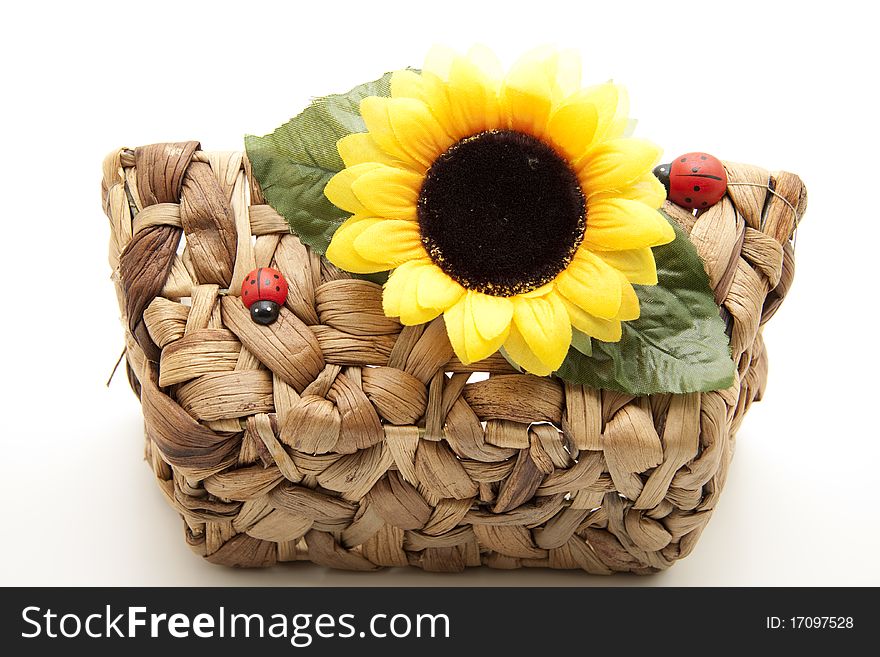 Sunflower blossom and ladybird on basket. Sunflower blossom and ladybird on basket