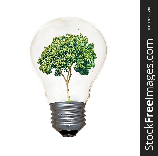 Incandescent Light Bulb With A Tree