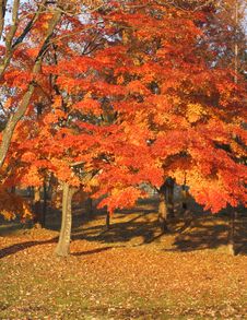 Autumn Colors Stock Photo
