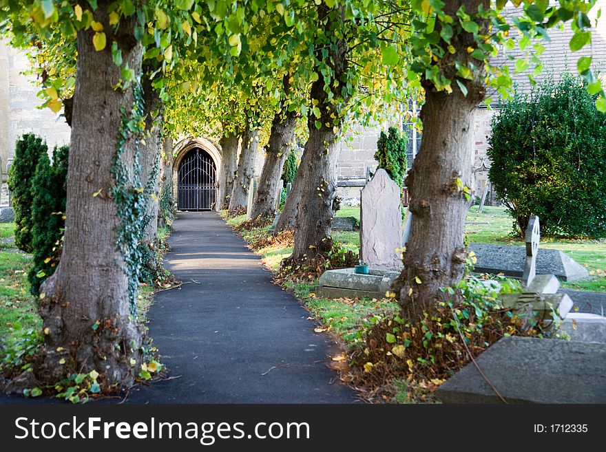 Tree lined path leading to a church door. Tree lined path leading to a church door