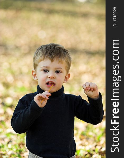 A little boy eating short stick in the park