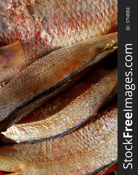 Freash fish from the menotenegrian sea. Freash fish from the menotenegrian sea
