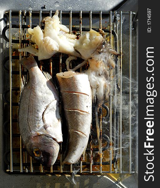 Fish and squid on the grill from montenegrian sea. Fish and squid on the grill from montenegrian sea